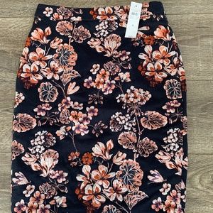 Ann Taylor Skirt Women's Size 0 NWT